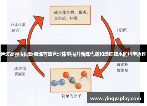 通过高强度间歇训练有效管理体重提升新陈代谢和燃脂效果的科学原理